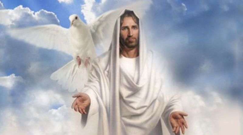 Đức Cha Phêrô suy niệm CN VI PS B: HIỆP THÔNG YÊU THƯƠNG