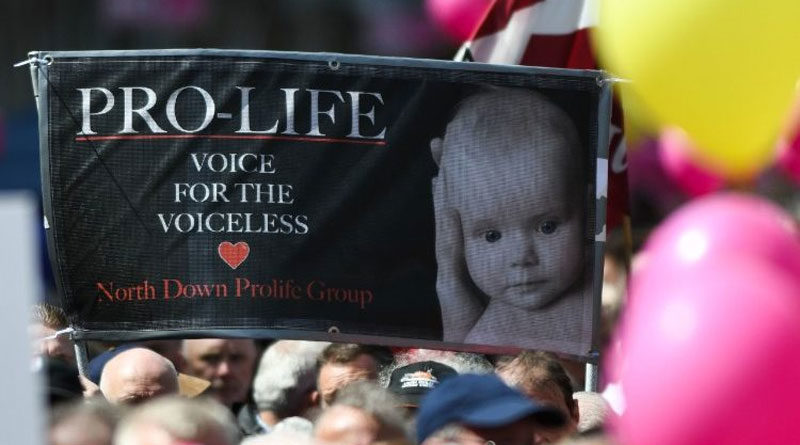 Káº¿t quáº£ hÃ¬nh áº£nh cho pro-life voice for the voiceless yard sign